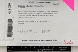 Dicranoloma billardieri image