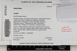 Parmotrema cetratum image