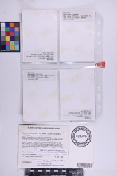 Pritchardia thurstonii