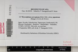 Bryoxiphium norvegicum image