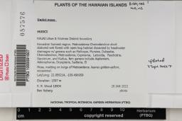 Sematophyllum hawaiiense image